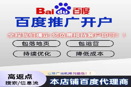 某某SEM团队成功案例：广告投放策略揭秘